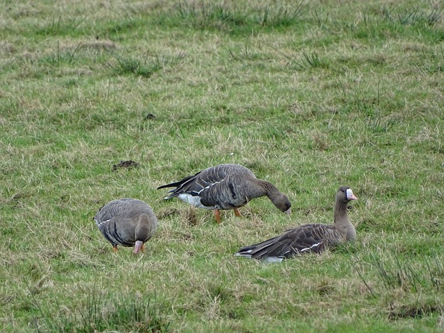 挪威主帅：分组出来时本以为意大利肯定晋级，我们表现很出色
