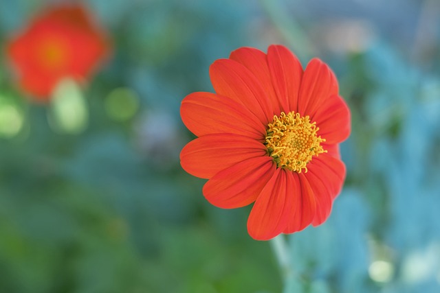 现以及意甲 现以及意甲