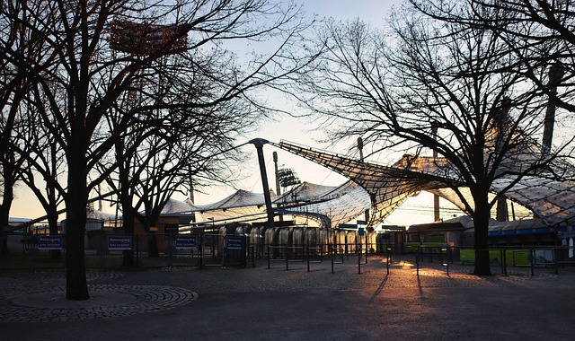 这一果断的 这一果断的