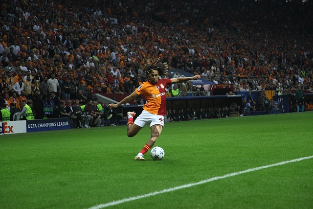 的篮球项目 的篮球项目