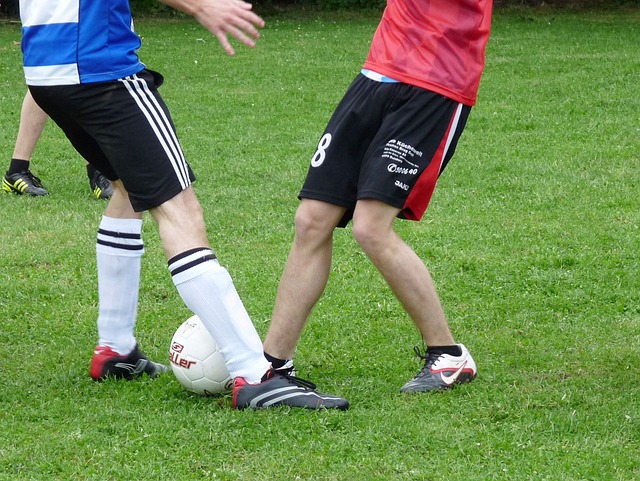 亞利桑那大 亞利桑那大