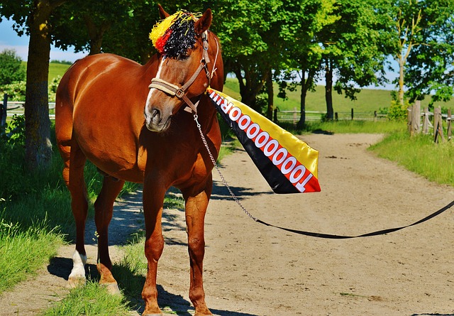 控球来寻找 控球来寻找