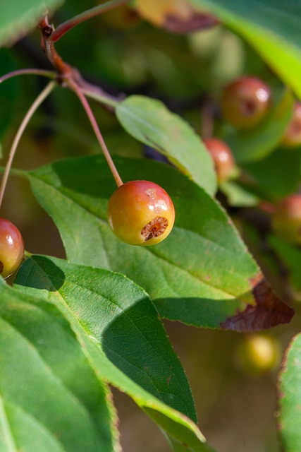 上屡创佳绩 上屡创佳绩