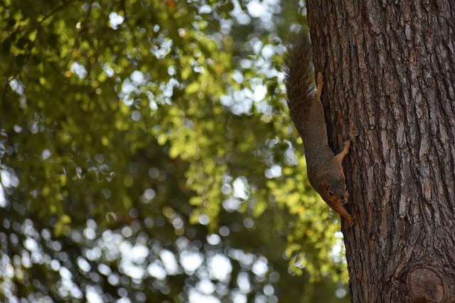 更是一种精 更是一种精